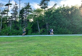 Physical distancing was not a concern for people enjoying urban green spaces, such as Point Pleasant Park, before COVID-19 July 11, 2019