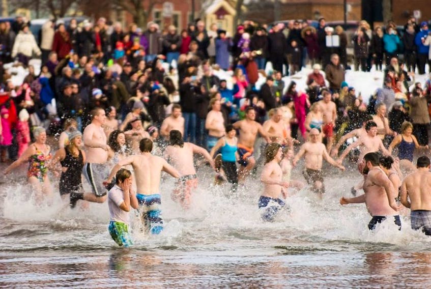 Brave souls make a mad dash into the frigid waters of the Charlottetown Friday during the annual polar bear swim.