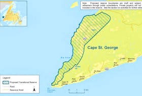 An area in Cape St. George is identified as a proposed transitional reserve under WERAC’s protected areas plan for the island portion of Newfoundland and Labrador. Mineral and oil exploration would be permitted in transitional reserves.