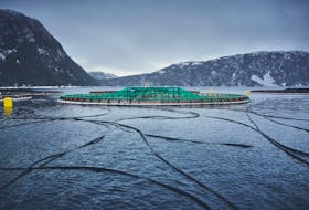 The Department of Fisheries and Oceans (DFO) is leading a discussion towards Canada's first-ever Aquaculture Act. The public has until Jan. 15 to offer comment.