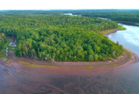 The Nature Conservancy of Canada has purchased 65 hectares of land along the Pugwash River estuary, a regular stopover for migratory birds.