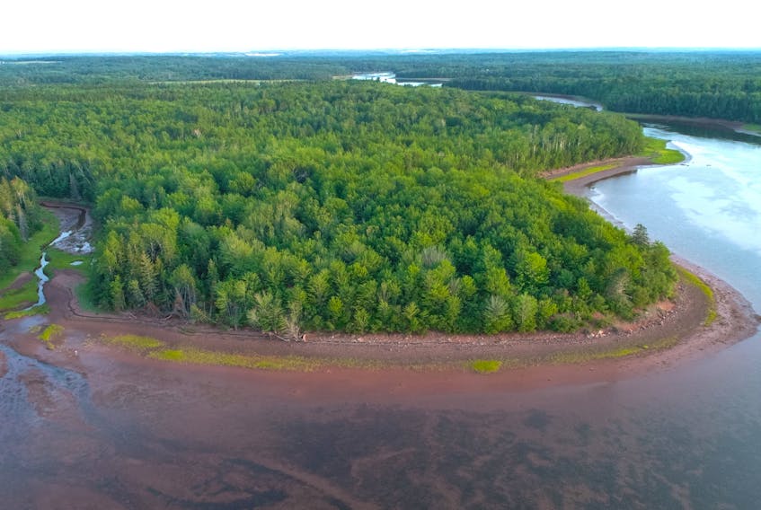 The Nature Conservancy of Canada has purchased 65 hectares of land along the Pugwash River estuary, a regular stopover for migratory birds.
