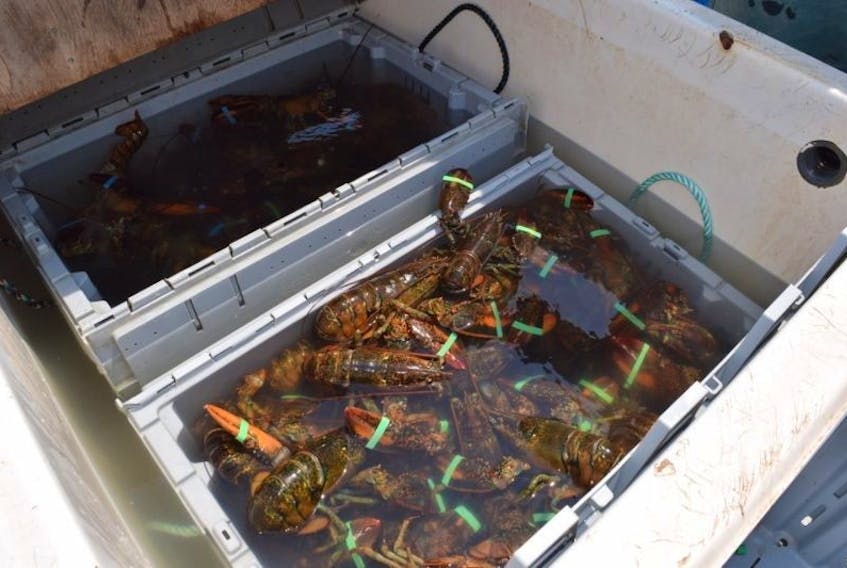 For the third time in less than two weeks, there has been a major heist of lobster from a port in Queens County.
