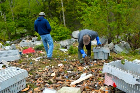 People pick over thousands of pounds of live lobster after a tractor-trailer spilled it’s entire load on Highway 103 Friday night. The owner of the plant those lobster were headed for says that’s just not acceptable.