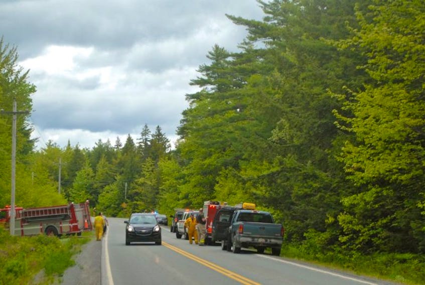 The scene on the Greenfield Road June 5 after an ultralight plane crash landed perfectly into a tree in the woods to the right.