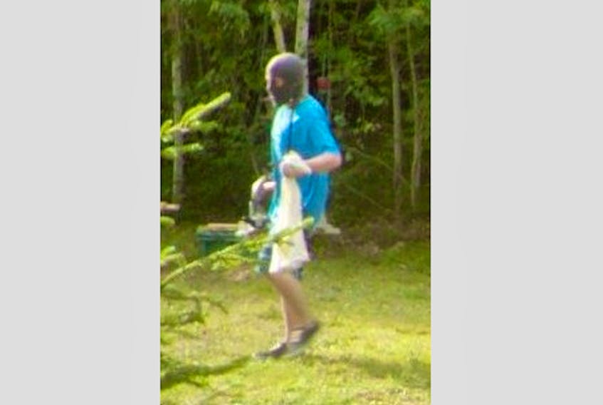Queens District RCMP are looking for this masked person, whose picture was captured by a trail camera, after allegedly breaking into a cottage in Pleasantfield. - SUBMITTED/RCMP