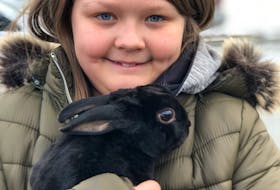 Ten-year-old Lily Oates of St. John's snuggles her pet bunny, Shadow, Tuesday afternoon, for the first time since he went missing Jan. 28. Tara Bradbury/The Telegram

