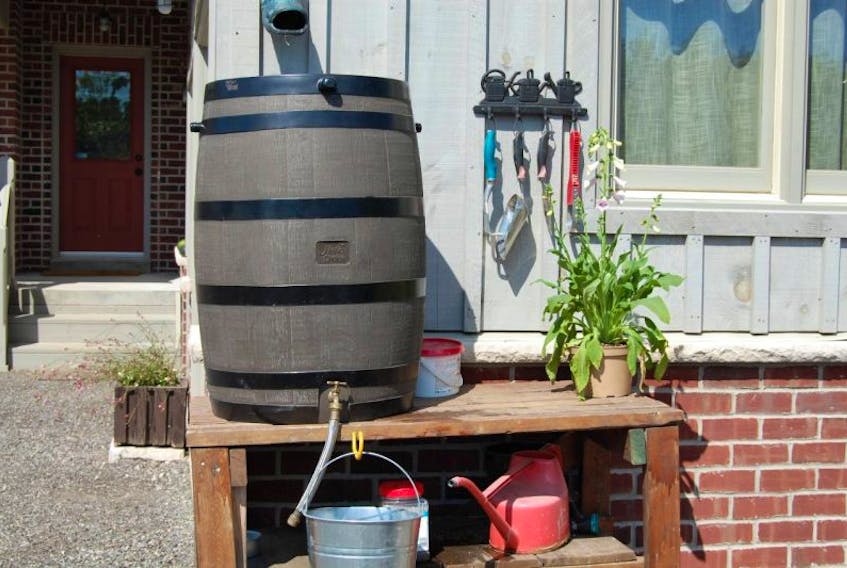<p>Rain barrels can be a gardeners best friend – especially since they save money in the long run. (Submitted photo)</p>