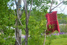 A red dress is seen near Mini Mall Drive in Eskasoni First Nation. The dress hangs in support of missing and murdered Indigenous women and girls and their families. June 3 marked the first anniversary of the national inquiry into missing and murdered Indigenous women and girls and the 231 calls to justice. Oscar Baker III/Cape Breton Post