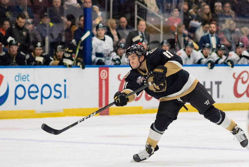 Newfoundland Growlers’ defenceman Joseph Duszak says he’s ‘always had a knack for joining the rush,’ and his desire to be involved in the offence, plus an outstanding set of skills, has helped him produce some eye-catching numbers in his first professional season. — Newfoundland Growlers photo/Joe Chase
