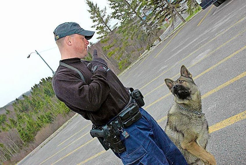 <p>Royal Newfoundland Constabulary Const. Kevin Morgan instructs police dog Rugger during a demonstration for The Western Star in 2007.</p>