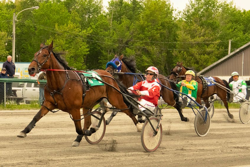 No. 4 Runaway Mystery and Harold LeBlanc Jr. won for the second week in a row Saturday at Northside Downs in North Sydney. Accelerator and Greg Sparling, centre, finished in second place, and Brookdale Buster and driver Andrew MacLean, right, came in fourth. CONTRIBUTED/TANYA ROMEO
