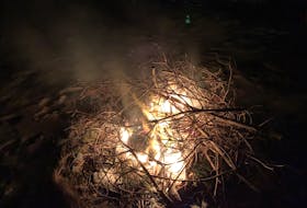 For a perfect bonfire, "you need spruce boughs," Russell Wangersky writes. "Some nice dry ones are the best…" — Russell Wangersky/SaltWire Network