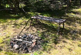 Simple site built by someone, deep in Pippy Park, St. John’s. — Russell Wangersky/SaltWire Network