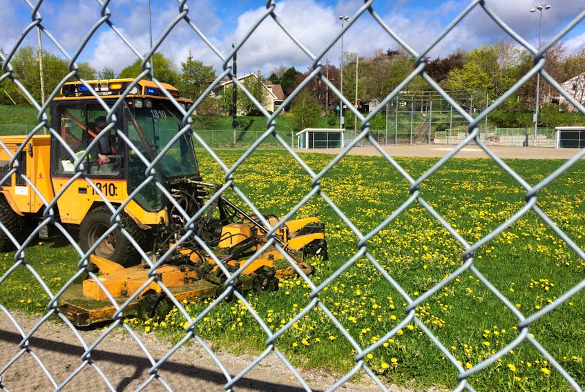 There are no players on city ball fields, but the mowing goes on. — Russell Wangersky/SaltWire Network