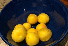 The yellow plums of memory. — Russell Wangersky/SaltWire Network