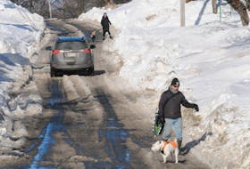 Pedestrians walk with their dogs along Carpasian Road in St. John’s Friday morning as a vehicle drives by on the snow-narrowed street. JOE GIBBONS/THE TELEGRAM