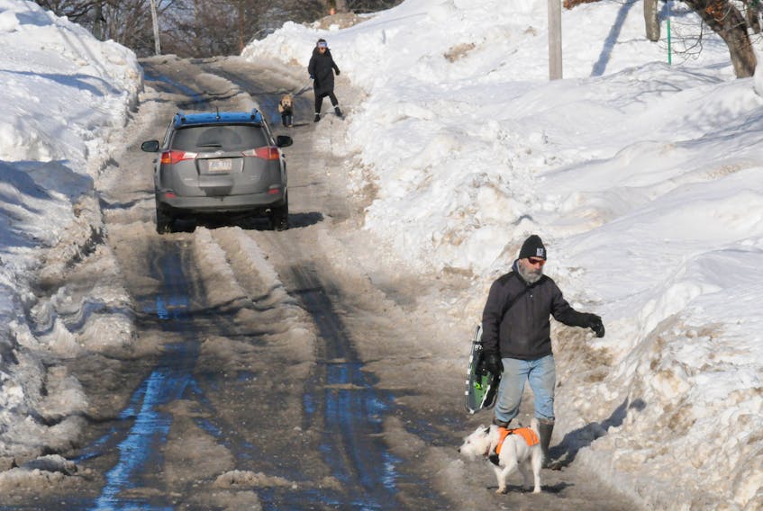 Pedestrians walk with their dogs along Carpasian Road in St. John’s Friday morning as a vehicle drives by on the snow-narrowed street. JOE GIBBONS/THE TELEGRAM