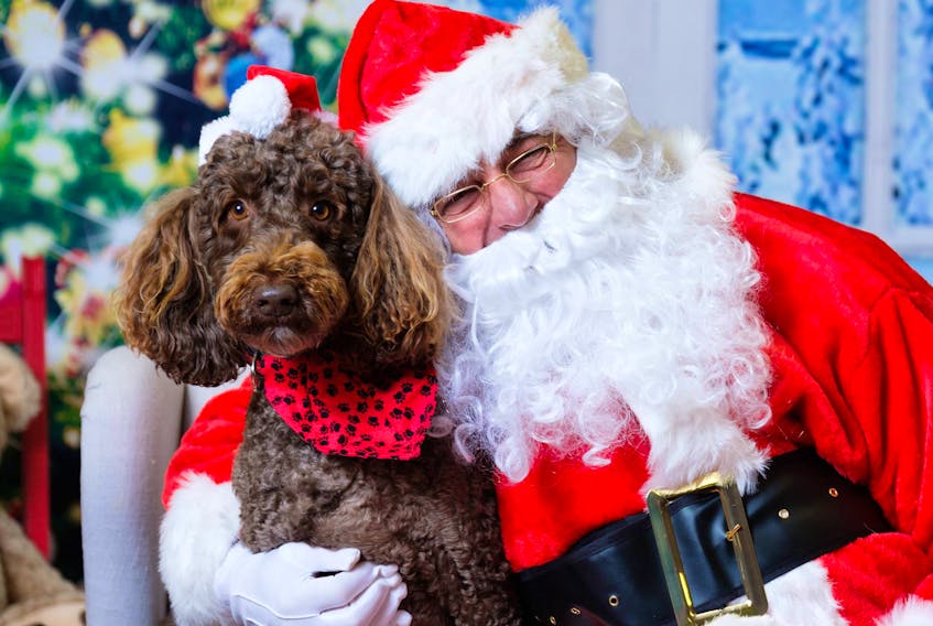 Santa Claus is coming to town, and he’s ready to make a stop at the P.E.I. Humane Society for the annual Santa pix fundraiser. Professional photography and a studio will be set up by Louise Vessey Photography.