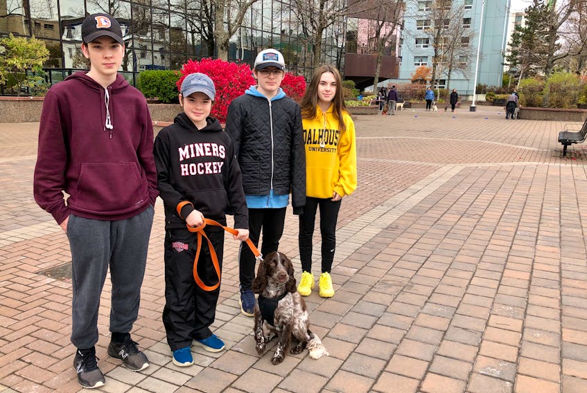 The MacKenzie siblings from Glace Bay stand with their dog MacK, spelled with a capital K because it's a shortened version of the family surname, in front of City Hall in Sydney before dog training lessons on Saturday. MacK, who is a year-and-a-half, is doing his second course with Tashia's Dog Training, which meets outside each Saturday. Pictured, from left, are: Joshua, 16, Carter, 11, Kinnon 16 and Sunni 16. NICOLE SULLIVAN/CAPE BRETON POST 
