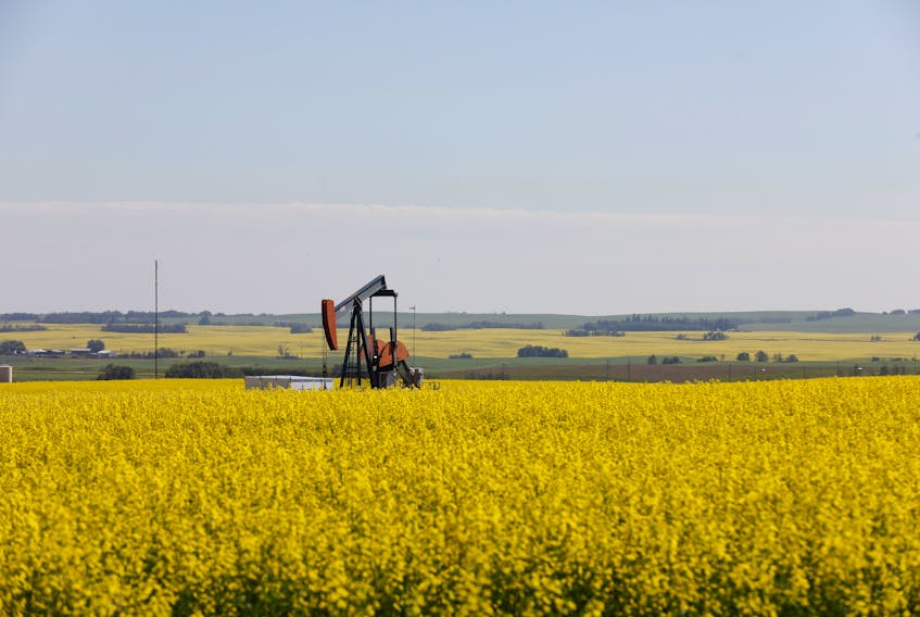 Canola fields surround an oil pump jack in rural Alberta. Saudi Arabia’s sovereign wealth fund bought stakes in Suncor and Canadian Natural Resources early this year.
REUTERS/Todd Korol/File Photo

