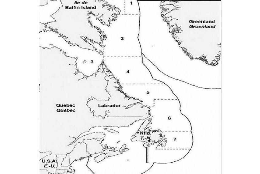 Numbered shrimp fishing areas are shown in this graphic taken from the Department of Fisheries and Oceans website.