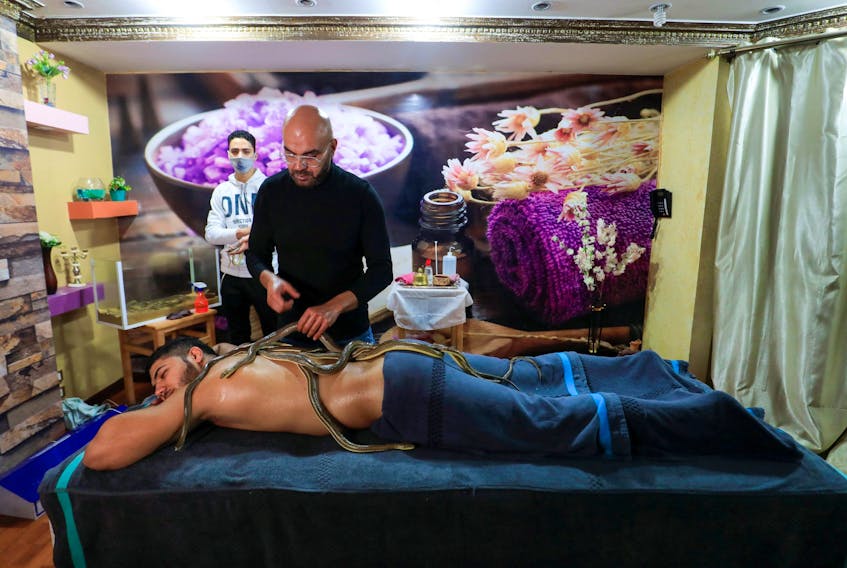 Spa owner Safwat Sedki gives a non-venomous snakes thirty-minute massage treatment to a customer at his shop in Cairo, Egypt.