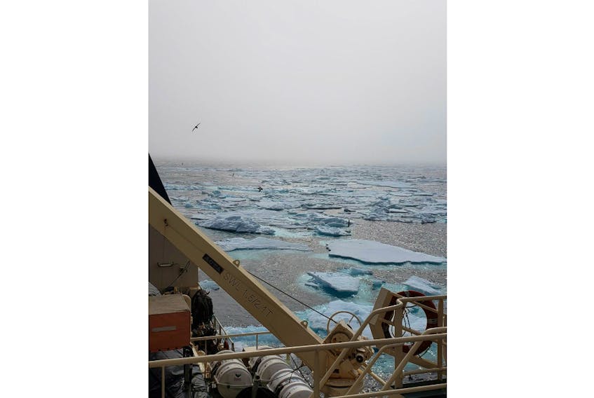 Late July ice in the Davis Strait between Baffin Island, Nunavut, and Greenland, courtesy of shrimp fisherman Andrew Titus.