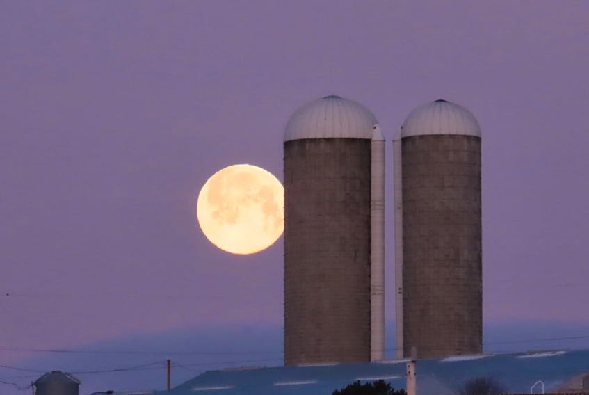 Judy LeBlanc-Brennan's timing could not have been more perfect. She snapped this showstopper as the Full Snow Moon was lowering in the western sky last Sunday morning.  Objects in the foreground usually appear larger than those in the background, but the two silos on the Verschurens' Farm in North Sydney seemed dwarfed by this magnificent optical illusion.