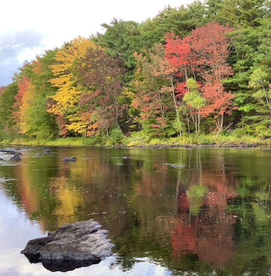 Patricia McLeod was out enjoying the changing leaves along the LaHave River in Bridgewater, N.S. when she took this photo. You can almost hear the bubbling water flowing past the rocks; looks a good spot to meditate. Thank you, Patricia.
