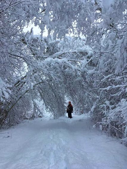 Photo submitted by Alice Dessart, River Philip, N.S.