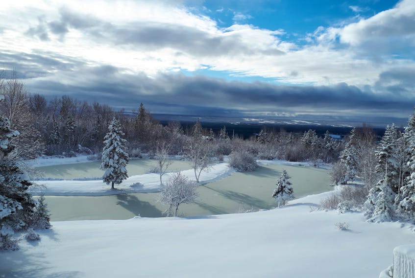 Cathy Foley had quite of view of this stunning winter scene in Kings County, N.S.  She took this picture from the top of Hall's Harbour Mountain.