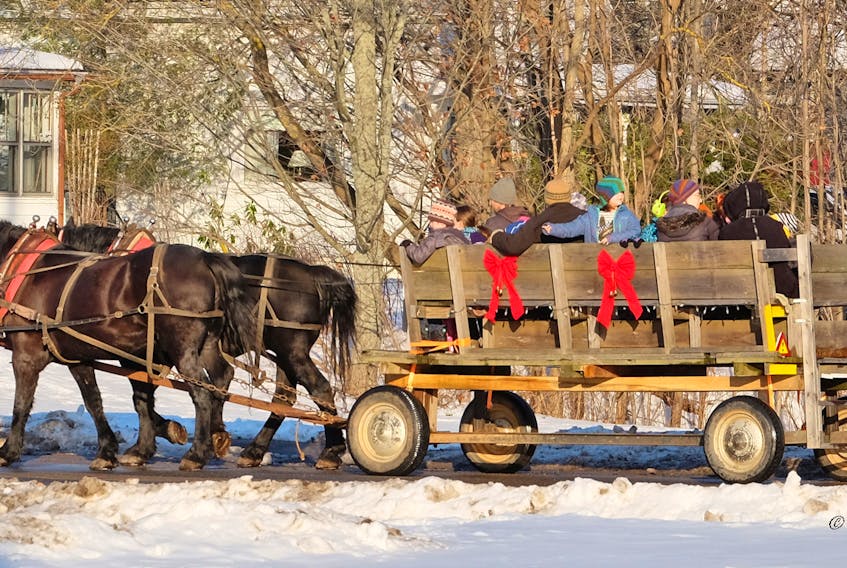 Oh what fun, it is to ride... We're all young a t heart when it comes to a horse drawn wagon!  Phil Vogler captured this lovely moment last Saturday in Berwick Nova Scotia.