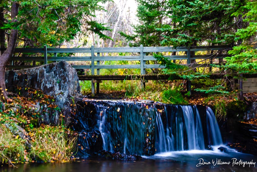Bridge Over Silken Water.  

A beautiful Fall day in Bowring Park is captured with this
Silken Waterfall.  Bowring Park is located in the Waterford Valley, St. John's Newfoundland. Compliments of the lens of Dawn Williams