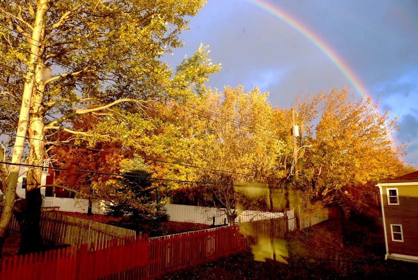This early morning rainbow was trying to compete with the lovely fall colours in St. John's NL.  John Molgaard was able to snap this photo from his back window.  Did you know that rainbows can appear at anytime of the year, as long as there is moisture in the air?