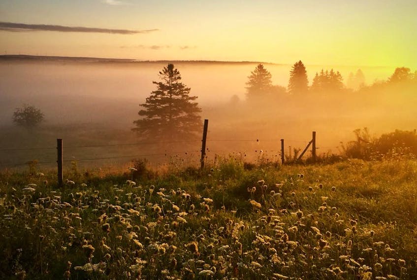 Nelly Koops-Smees was greeted to this stunning sunrise in Lorne, Pictou County, N.S. - the last one of the month! Grandma Says: "Fog in the hollow, a fair day will follow."