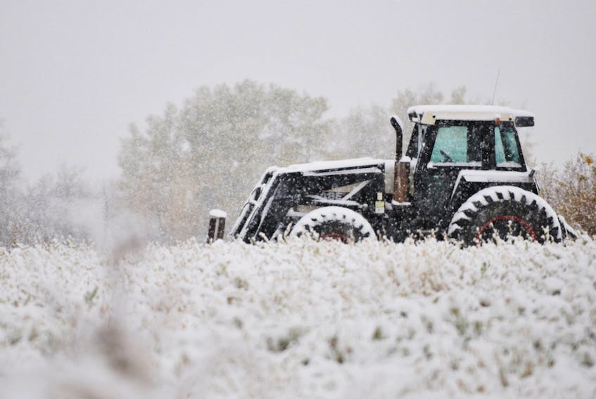 Farmers are spending winter in an ambivalent state somewhere between cautious optimism and unease.