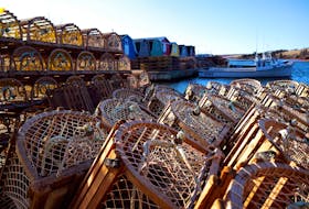 Lobster traps are piled up at Springbrook awaiting the beginning of the season, which has been delayed to May 15. 