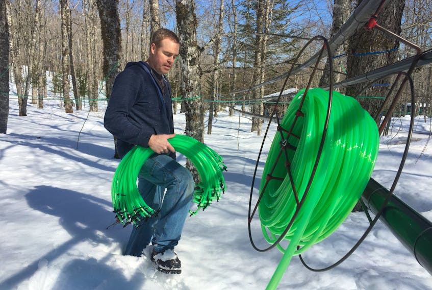Dan MacLeod is shown with his tapping gear at Maple Mist Farm off the kemptown Road in Colchester County. - Aaron Beswick