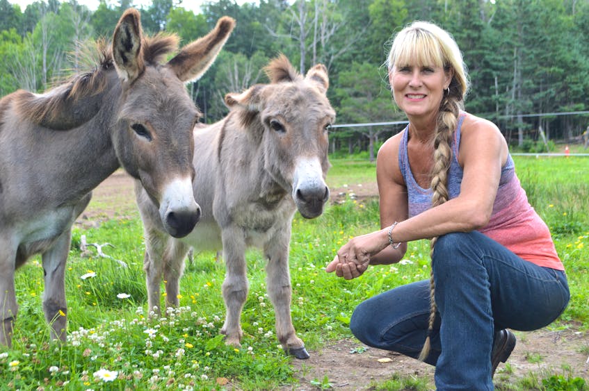 Shelly MacLeod of South Bar spending some quality time with two of the several donkeys she and husband Bruce MacLeod rescued, Shamus, left, and Thistle. Shelly is appealing to the public to spread the word on people recklessly driving ATVs and trucks through the farmer’s fields in the area, destroying hay she desperately needs for their animals. Sharon Montgomery-Dupe/Cape Breton Post