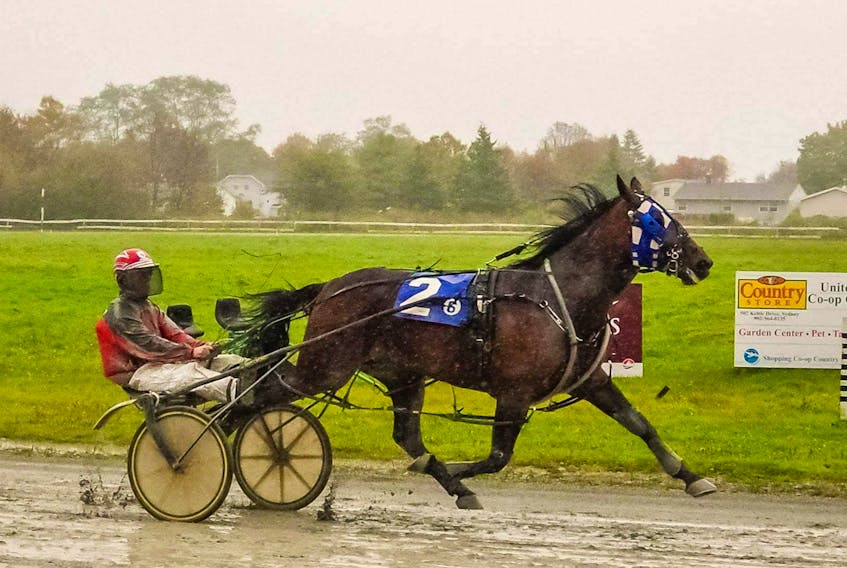 Southwind Ricardo and driver Harold LeBlanc Jr. power their way through muddy track conditions to a victory Saturday afternoon at Northside Downs. PHOTO/TANYA ROMEO