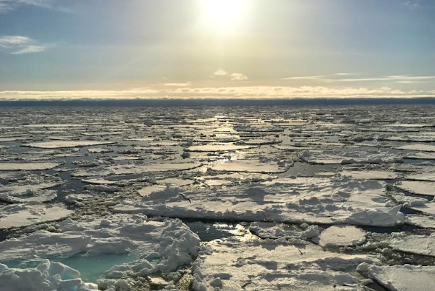 The Labrador Sea could be the next big boon to the province’s offshore oil and gas industry, but given the area’s outsized role in the global climate system as the ‘lungs of the ocean,’ should we explore, or protect it? The Telegram dives into the issue. -CONTRIBUTED