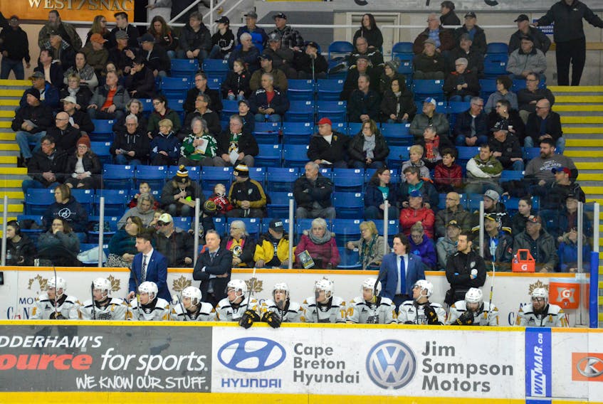 Members of the Cape Breton Eagles are shown on the bench as fans in the background watch the team's recent Quebec Major Junior Hockey League game against the Blainville-Boisbriand Armada last Thursday. Team president Gerard Shaw says the franchise will not be sustainable unless it sees an increase in its current fan base, a statement which has made some fans uneasy. JEREMY FRASER/CAPE BRETON POST