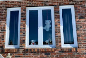 Bears hanging out in a window for the bear hunt in Port au Choix. 