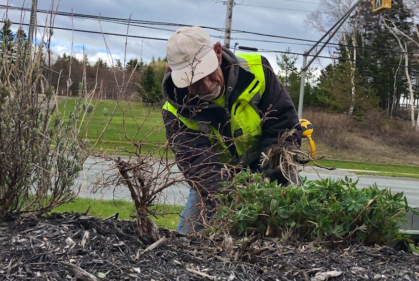 If you like the look of the landscaping around the Sydney River Credit Union these days, you can give some of the credit to George Bonnar. The AMD Landscaping employee was spotted doing some gardening, landscaping and spring cleaning around the credit union property on Tuesday. He had also planted some pansies to freshen up the look of the location. GREG MCNEIL/CAPE BRETON POST
