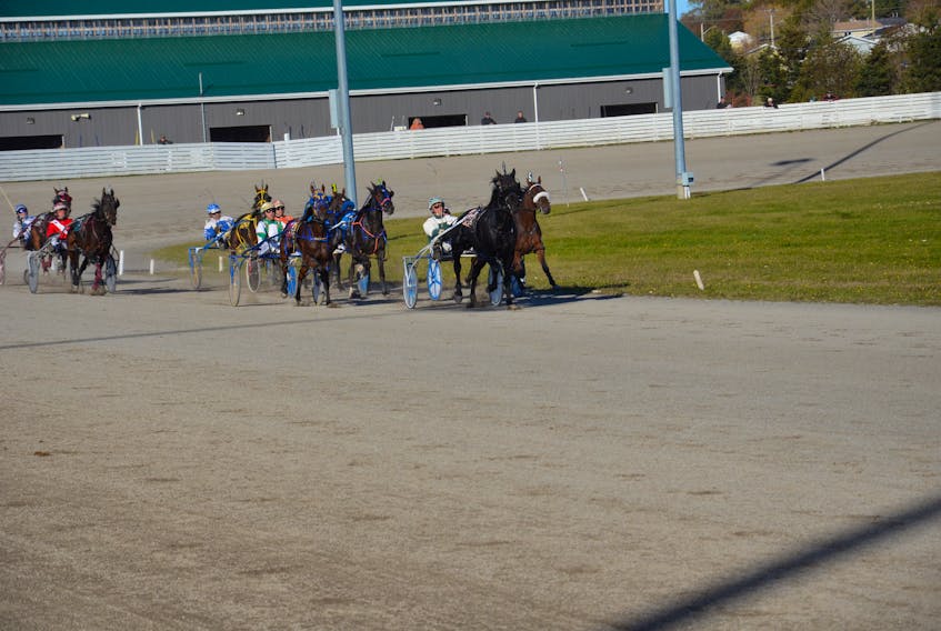 The field heads for home in the finale of Sunday afternoon’s 11-dash harness racing card at Red Shores at Summerside Raceway on Sunday afternoon.