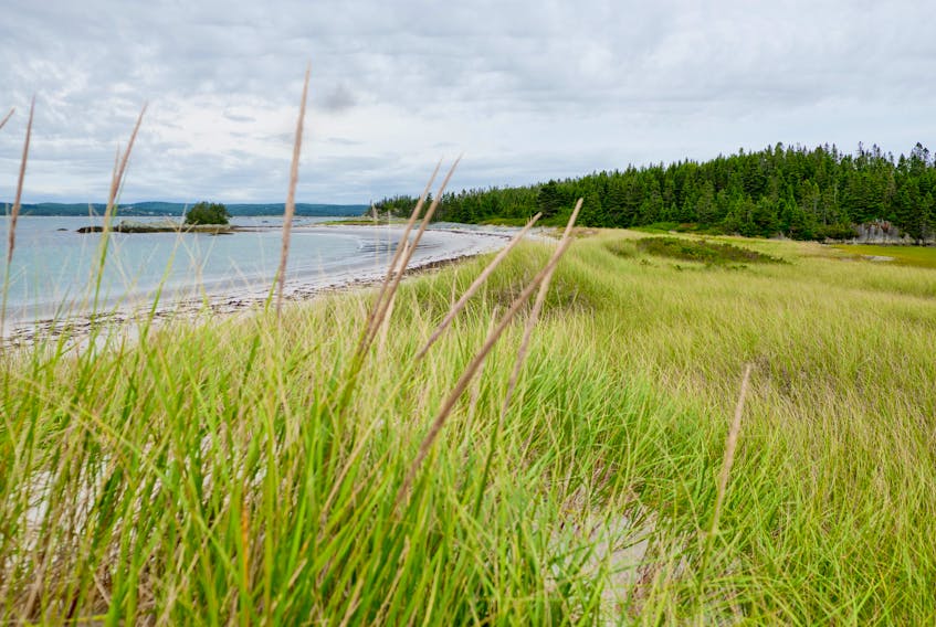 The western side of Cape LaHave Island features a beach and dune system. The Municipality of the District of Lunenburg (MODL) is moving ahead with the creation of a conservation easement for the island and has initiated a community consultation as part of the process. Corey Isenor photo