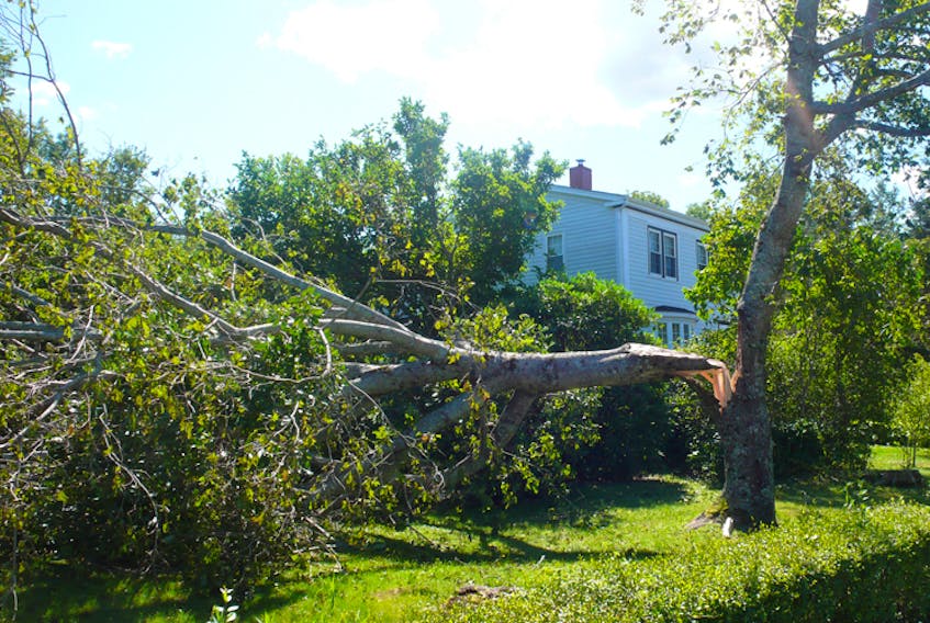 When Hurricane Dorian hit on Sept. 7, it left its mark throughout Nova Scotia and serves as a warning that we must be ready for the next major weather event because, like it or not, there will be another.