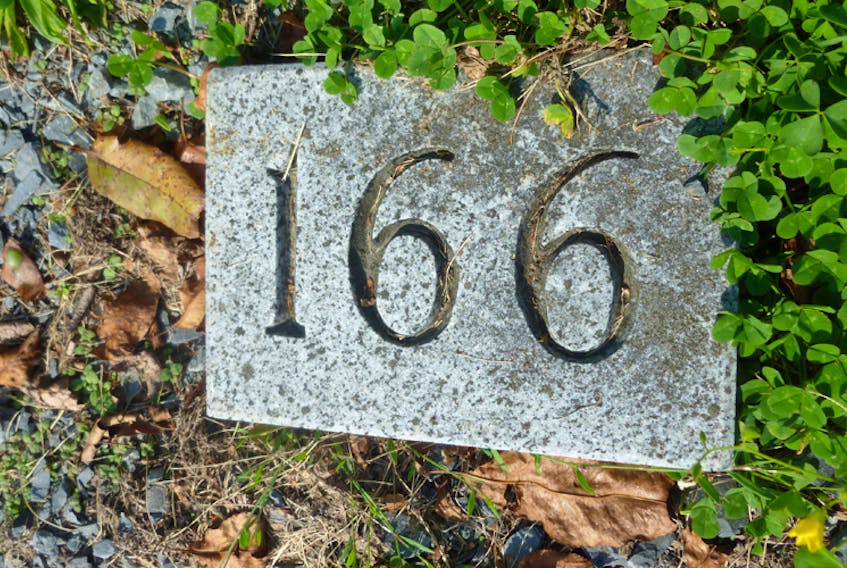 A numbered granite stone marks a grave at the Hillside Cemetery in Dayspring. On Sept. 28 the Municipality of the District of Lunenburg will unveil a long-overdue memorial monument and interpretive signage to honour the men, women and children buried in the once-neglected cemetery.