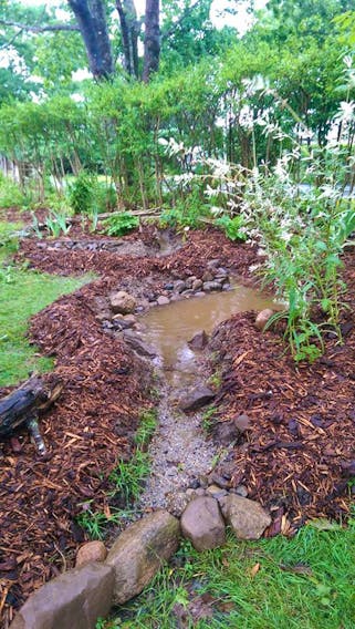 A simple rain garden in Lunenburg created by Earthshine Gardens with resources on-site. Photo courtesy of Amy Wentzell.